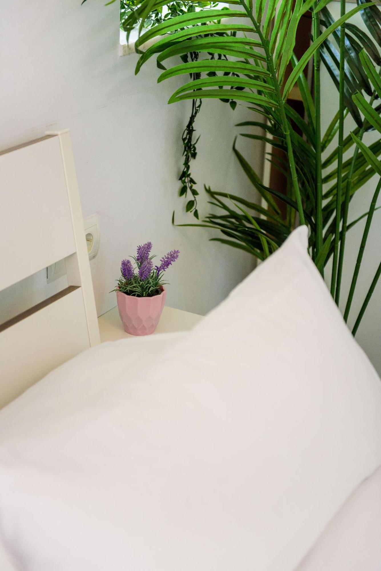 Livingtarifa Apartamento Bianco Εξωτερικό φωτογραφία