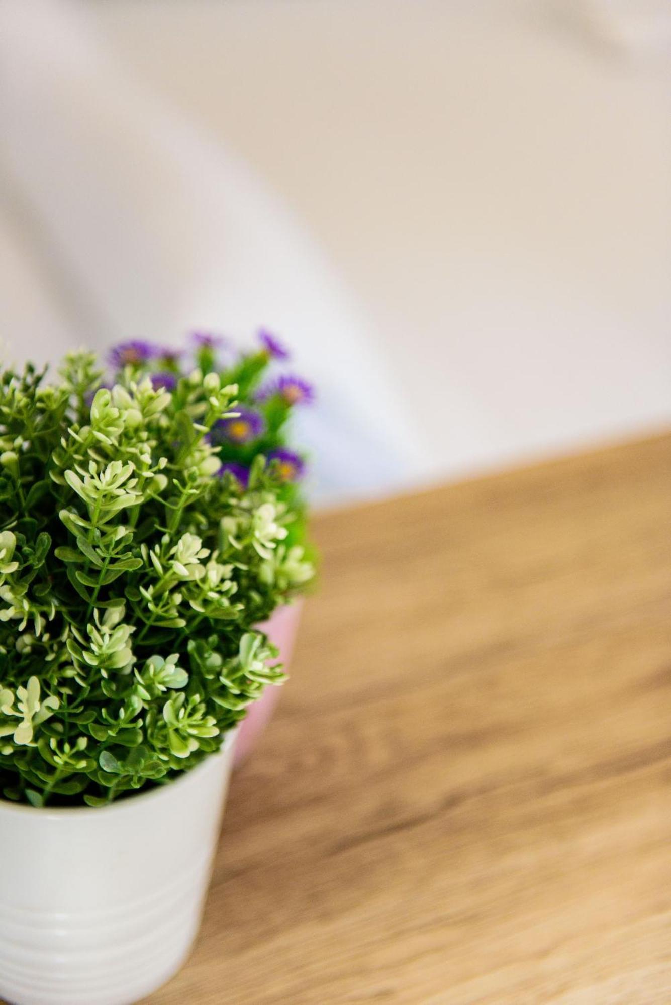 Livingtarifa Apartamento Bianco Εξωτερικό φωτογραφία
